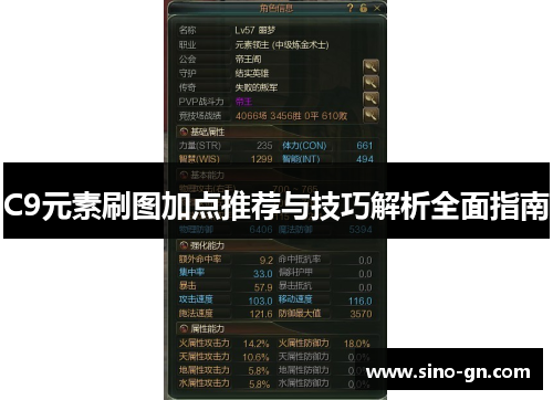 C9元素刷图加点推荐与技巧解析全面指南