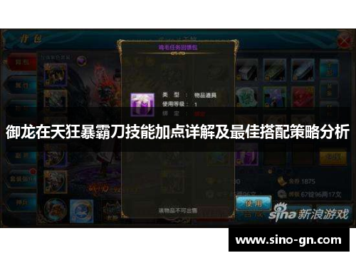 御龙在天狂暴霸刀技能加点详解及最佳搭配策略分析 御龙在天狂暴霸刀技能加点详解及最佳搭配策略分析
